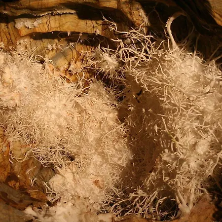 Priehrada Szálloda Imrikfalva